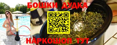 твердый Бийск
