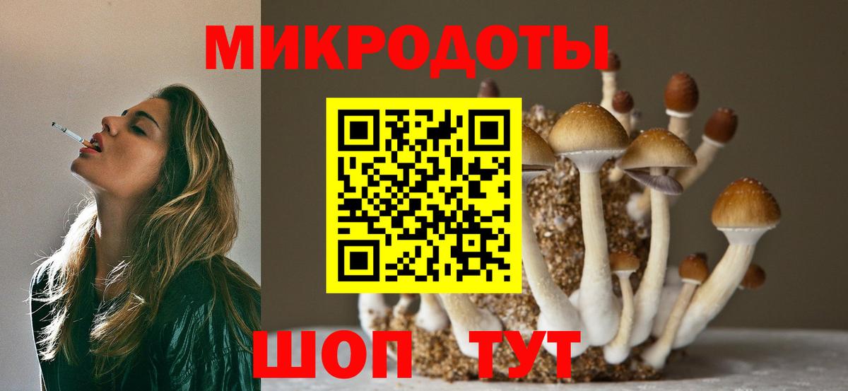 Заводоуковск  Галлюциногенные грибы Psilocybe  Вход с VPN 